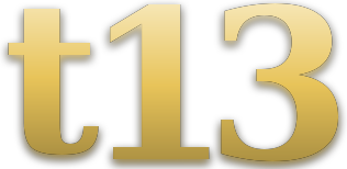 t13 logo